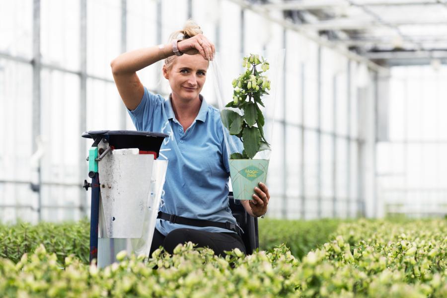 job_image_8