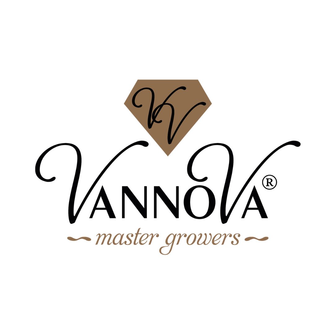 Logo VannoVa