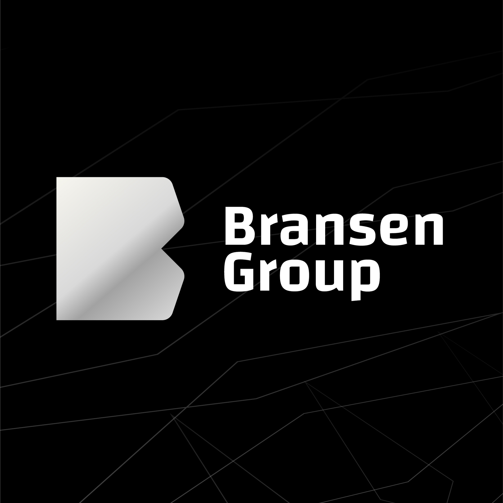 Logo Bransen Group