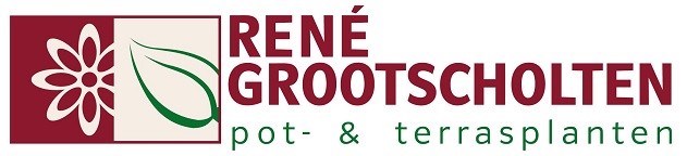 Logo Rene Grootscholten