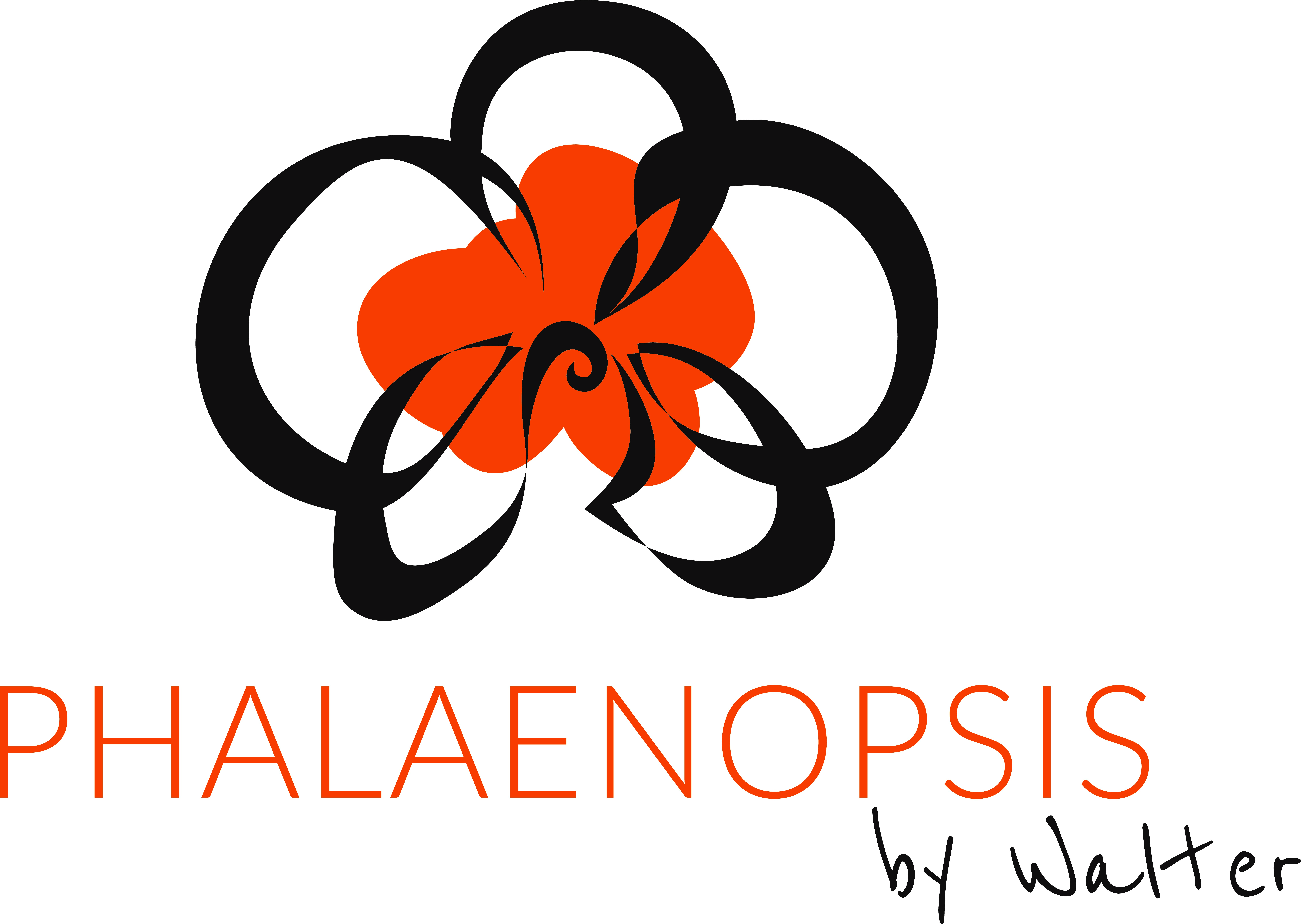 Logo Phalaenopsis by Walter