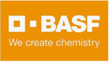 Logo BASF Vegetable Seeds