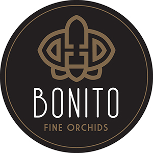Logo Bonito Plant