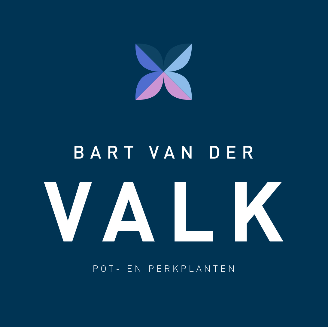 Logo Bart van der Valk BV