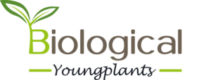 Logo Biological Youngplants