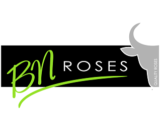Logo BN Roses