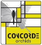 Logo Concorde Orchids