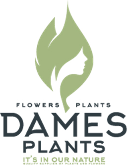 Logo Dames Plants