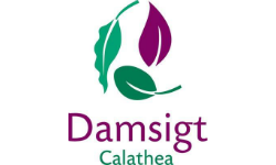 Logo Damsigt