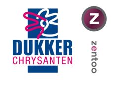 Logo Dukker Chrysanten