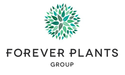 Logo Forever Plants Group