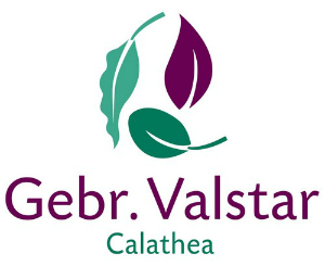 Logo Gebr. Valstar