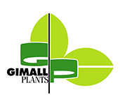 Logo Gimall Plants