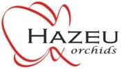 Logo Hazeu Orchids