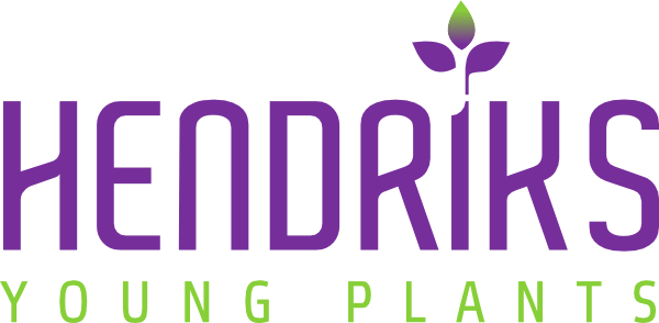 Logo Hendriks Young Plants