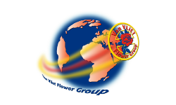 Logo J. van Vliet Bloemenexport BV