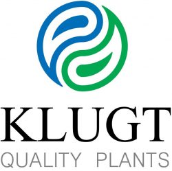 Logo Klugt Quality Plants
