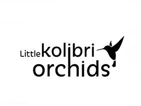 Logo Little Kolibri Orchids