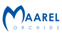 Logo Maarel Orchids