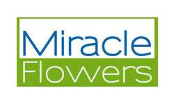 Logo Miracle Flowers