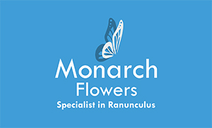 Logo Monarch Flowers