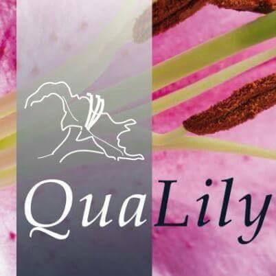 Logo Qualily