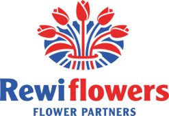 Logo Rewiflowers