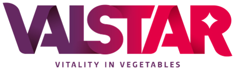 Logo Valstar Holland