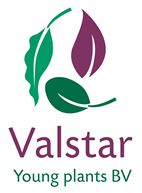 Logo Valstar Young Plants