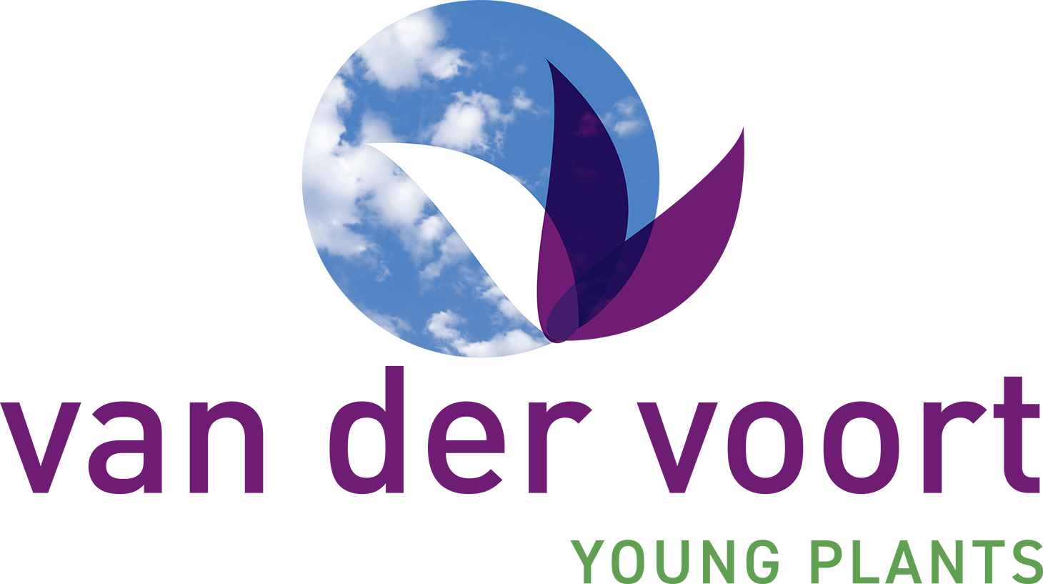 Logo Van der Voort Young Plants