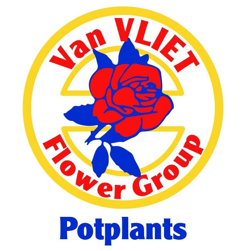 Logo Van Vliet Potplants BV