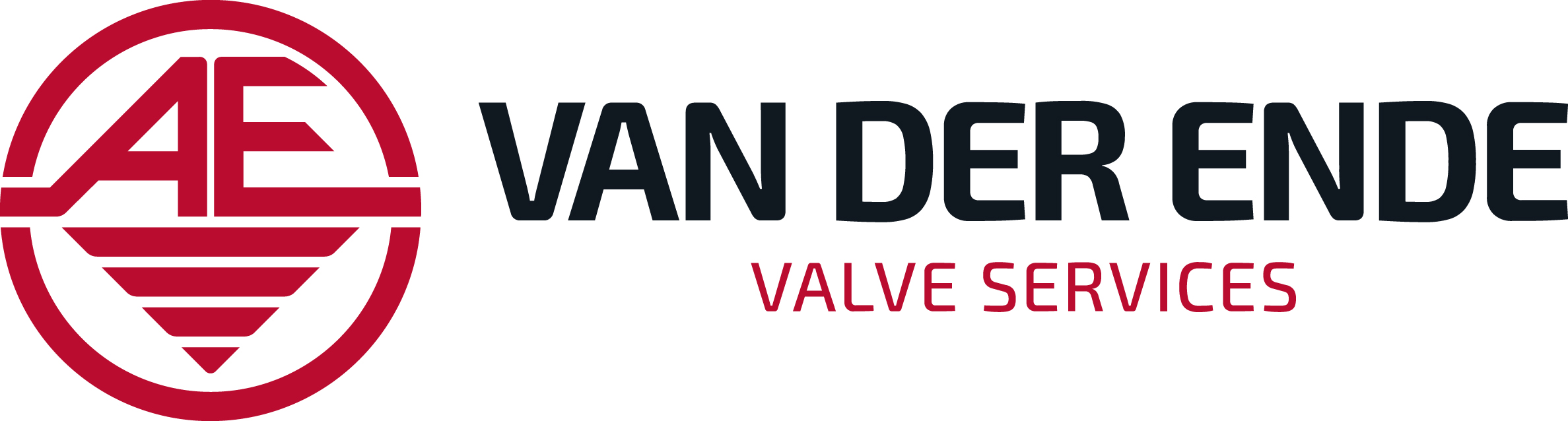 Logo Van der Ende Valve Services