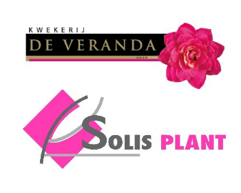 Logo Kwekerij de Veranda en Solisplant