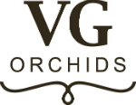 Logo VG Orchids