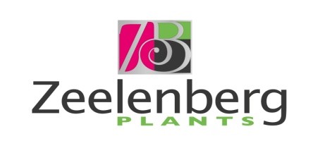 Logo Zeelenberg Plants