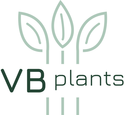 Logo VB Plants